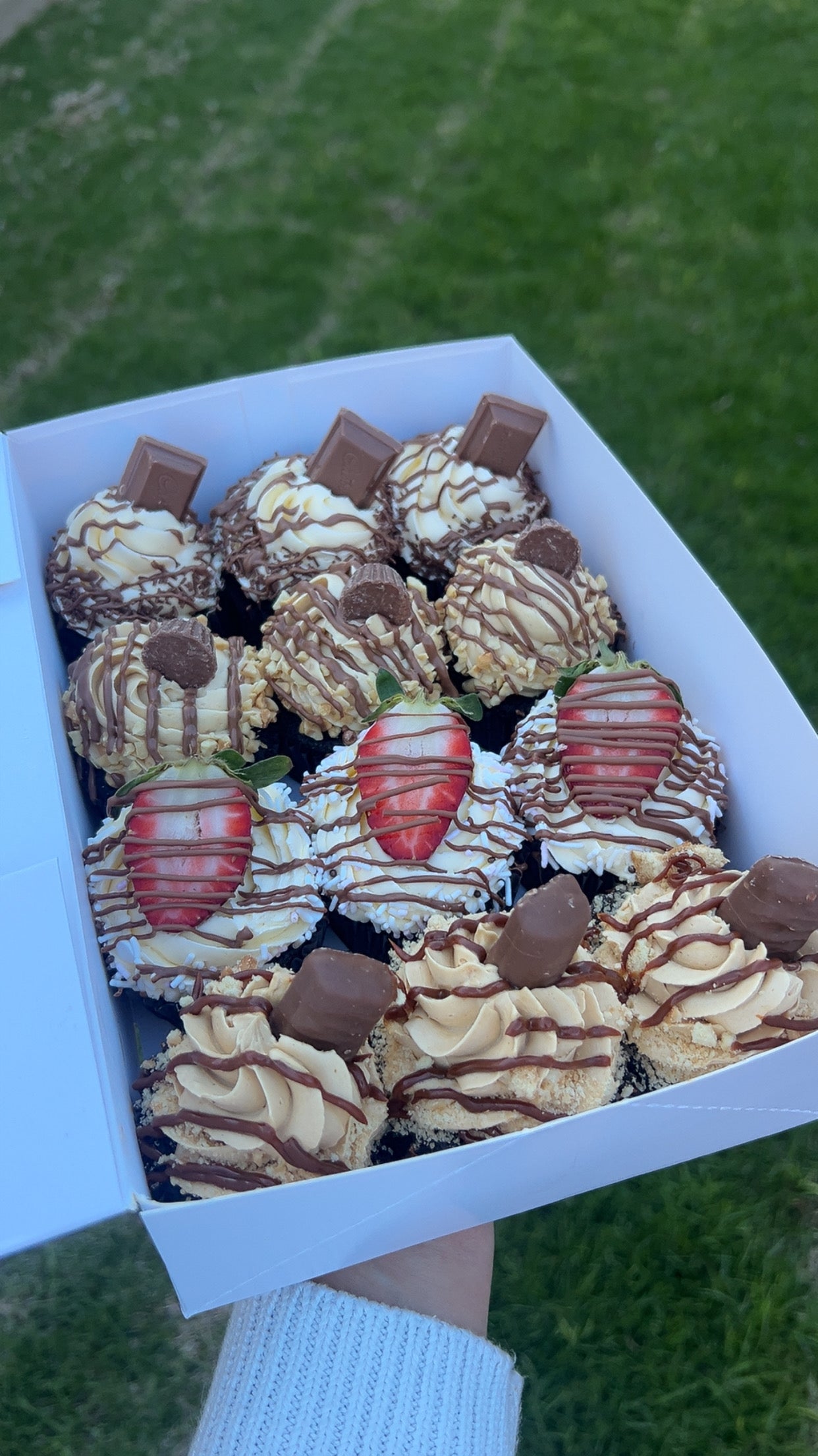 Chocolate Based Cupcakes